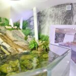 Slavnostní otevření Krkonošského muzea ve Vrchlabí