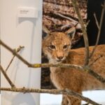 Slavnostní otevření Krkonošského muzea ve Vrchlabí