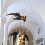 Slavnostní otevření Krkonošského muzea ve Vrchlabí
