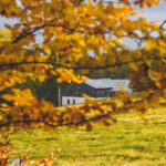 18. ročník festivalu Last Summer na Řehačce