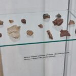 Mezinárodní den archeologie
