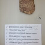 Mezinárodní den archeologie