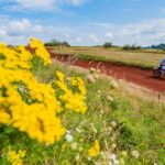 Batti MX Cup na motokrosové trati v Trutnově