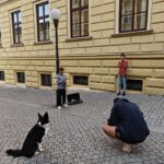 MyBand! natočili videoklip Pes