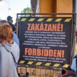 OEF 2022 úterý a první návštěvníci na festivalu