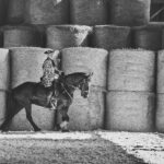 Otevření areálu Chov koní Dvorka v Radvanicích