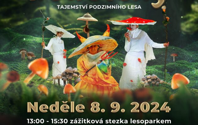 Co Čech, to houbař aneb Oživlé houbičky v lesoparku