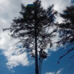 Na Zvičině spadl paraglidista