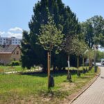 Revitalizovaný park u kostela sv. Václava v Horním Starém Městě