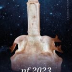 Vánoční přání a novoročenky PF 2023