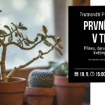 Česká pirátská strana v Trutnově