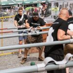 Pivofest 2023 s Jelenem a Pokáčem