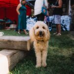 Den otevřených dveří v Pivovaru Kluge