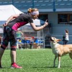 Závody psí agility v Trutnově