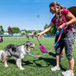 Závody psí agility v Trutnově