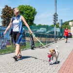 Závody psí agility v Trutnově