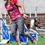 Závody psí agility v Trutnově
