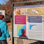 Revitalizace sídliště Zelená louka