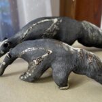 Spolek Rozumění z Otrokovic vystavuje v Trutnově