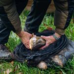 Slavnostní křest rybníku Jordán ve Zlaté Olešnici