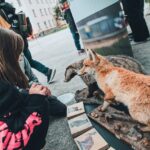 Městské festivaly Rýbrcoul a Otevřené hospody v Trutnově