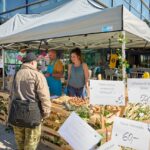 7. ročník festivalu Rýbrcoul v Trutnově