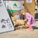 7. ročník festivalu Rýbrcoul v Trutnově