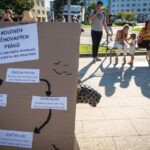 7. ročník festivalu Rýbrcoul v Trutnově