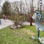 Safariběh v královédvorské zoo