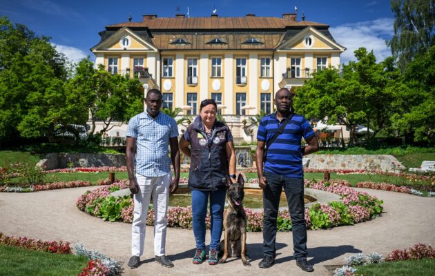 V boji proti pytlákům v Kongu bude pomáhat další pes z Česka