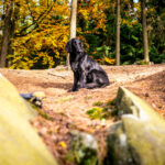 Secret Spot Bouldering v Trutnově