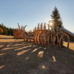Léto ve Skiresortu a Stezka korunami stromů Krkonoše