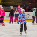 Škola bruslení Jirky Hradeckého - 46. ročník