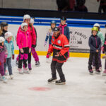 Škola bruslení Jirky Hradeckého - 46. ročník