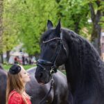 Dračí slavnosti 2022