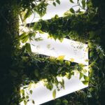 1. ročník filmového festivalu Spektrum