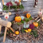 Halloweenský víkend na Stezce korunami stromů