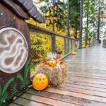 Halloween na Stezce korunami stromů Krkonoše