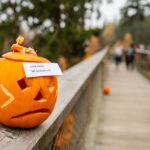 FOTO: Strašidelný víkend na Stezce korunami stromů