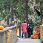 FOTO: Strašidelný víkend na Stezce korunami stromů
