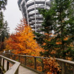 FOTO: Strašidelný víkend na Stezce korunami stromů