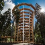 Léto ve Skiresortu a Stezka korunami stromů Krkonoše