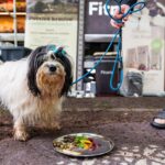 Street Food Piknik - 5. ročník