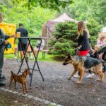 Street Food Piknik - 5. ročník