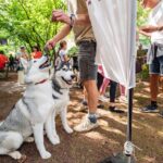 Street Food Piknik - 5. ročník