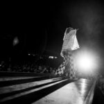 Festival TrutnOFF - pátek