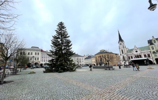 Vánoční strom pro centrum Trutnova
