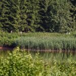 Trutnovský triatlon (duatlon) v Dolcích