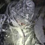 Turisté málem umrzli v horách