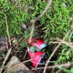 Ukliďme Sněžku i pod Sněžkou